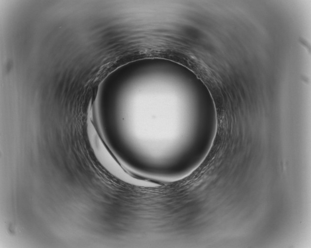 X0000094211012200710261206