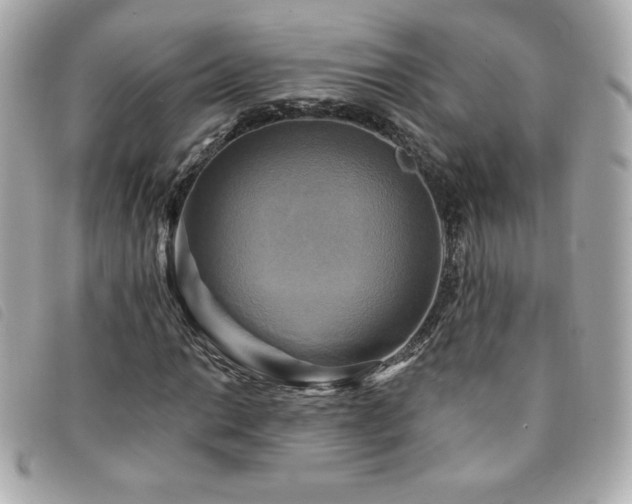 X0000094211014200710261206