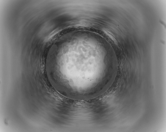 X0000094211015200710261206