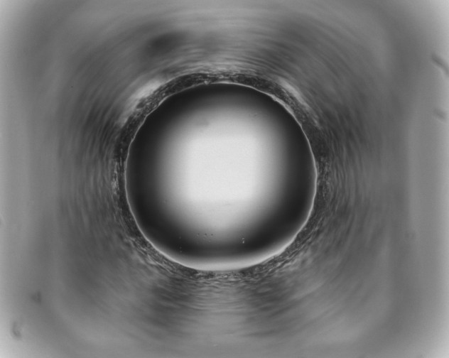 X0000094211016200710261206
