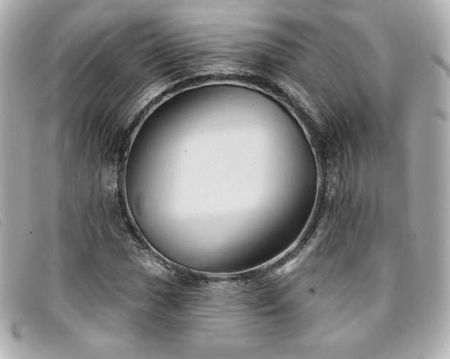 X0000094211017200710261206