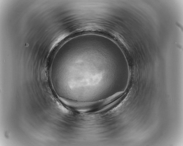 X0000094211018200710261206