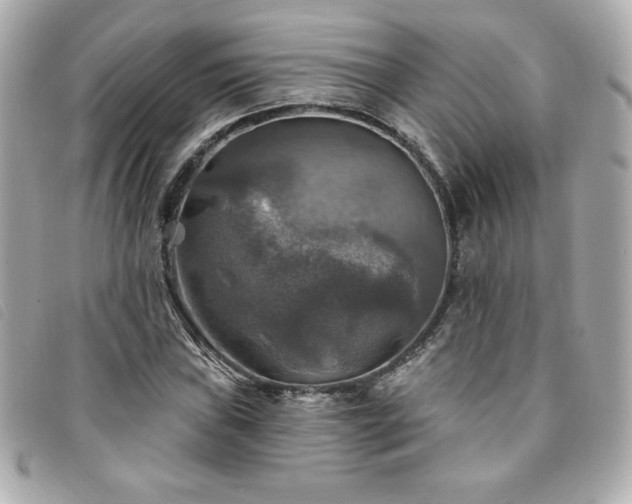 X0000094211019200710261206