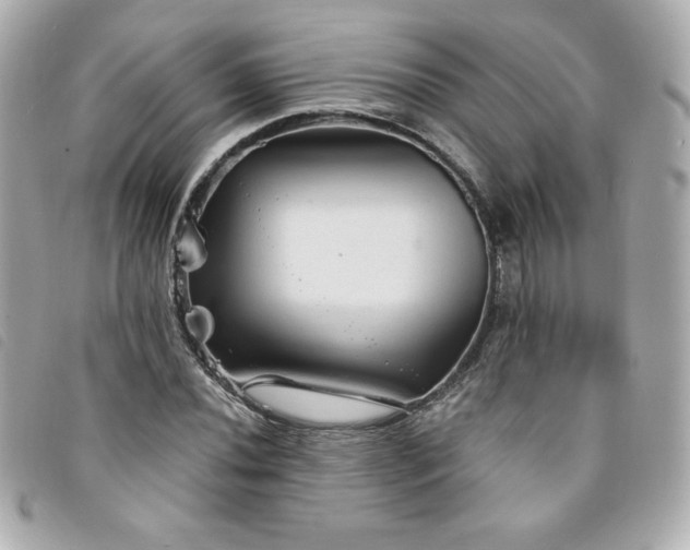 X0000094211020200710261206
