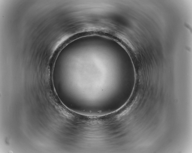 X0000094211021200710261206