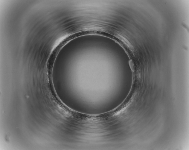 X0000094211022200710261206