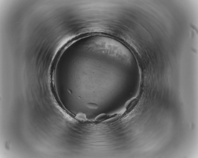 X0000094211024200710261206