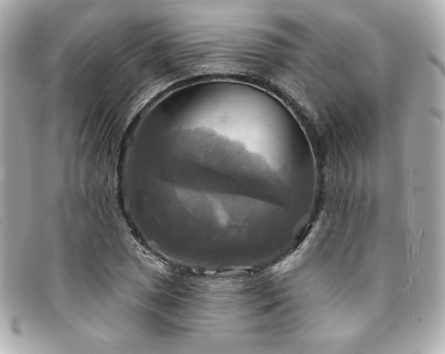 X0000094211025200710261206