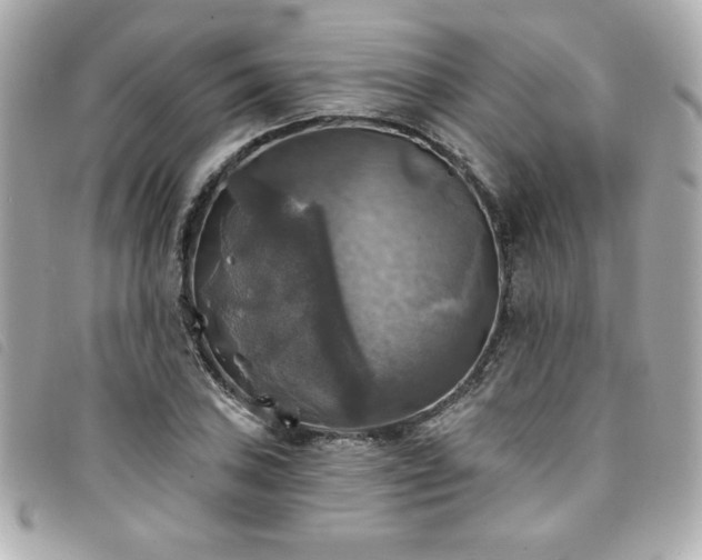 X0000094211027200710261206