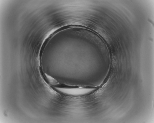 X0000094211028200710261206