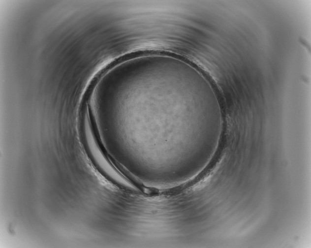 X0000094211029200710261206