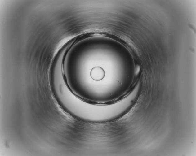 X0000094211030200710261206