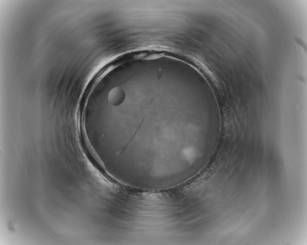 X0000094211032200710261206