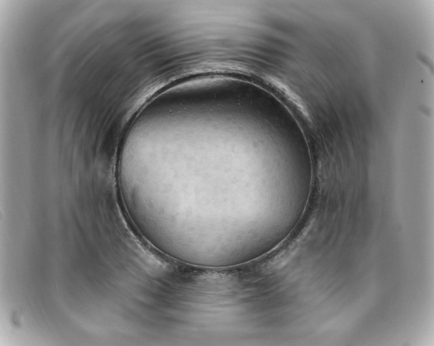 X0000094211033200710261206
