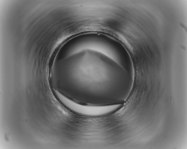 X0000094211035200710261206