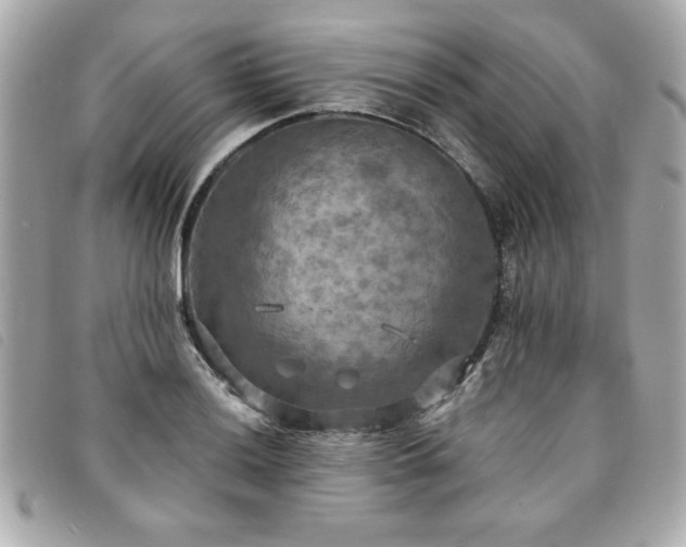 X0000094211036200710261206