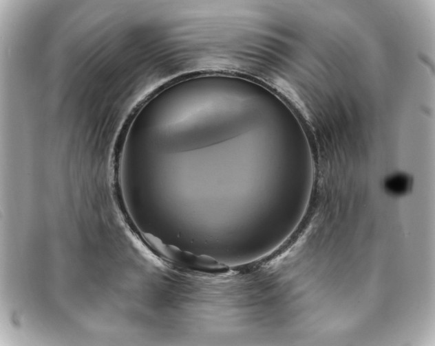 X0000094211037200710261206
