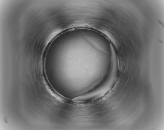 X0000094211038200710261206