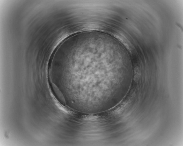 X0000094211039200710261206
