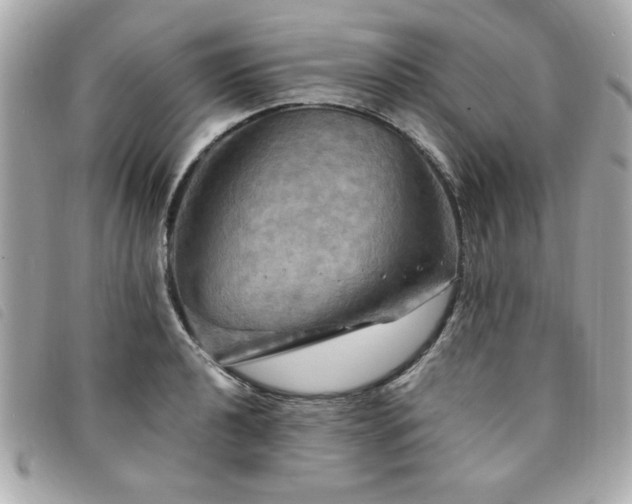 X0000094211040200710261206