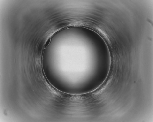 X0000094211041200710261206