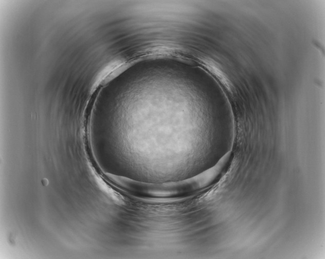X0000094211042200710261206