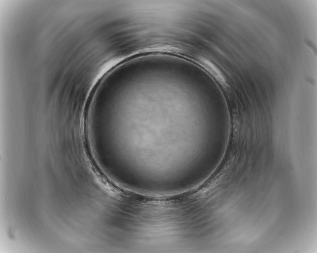 X0000094211044200710261207