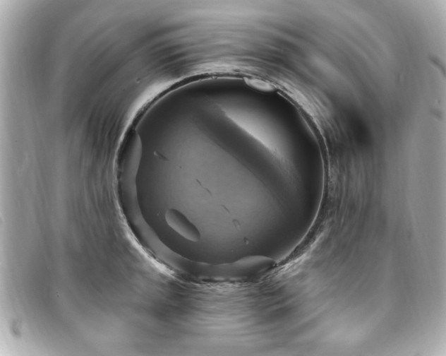 X0000094211045200710261207