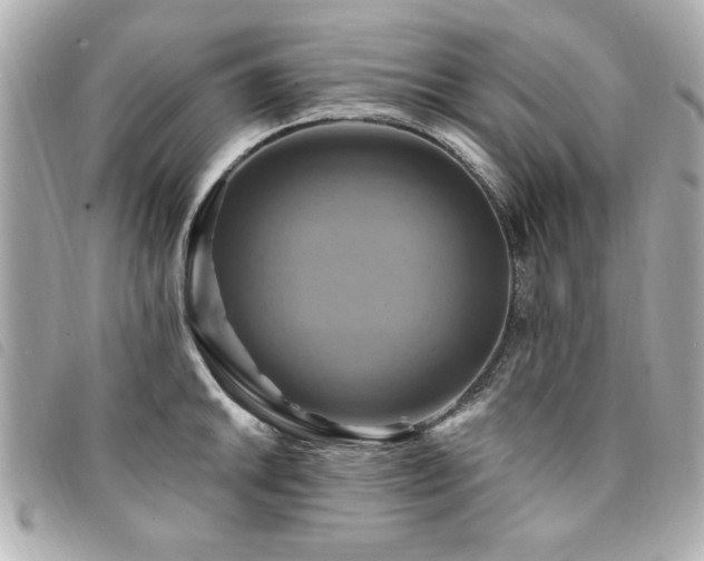 X0000094211046200710261207