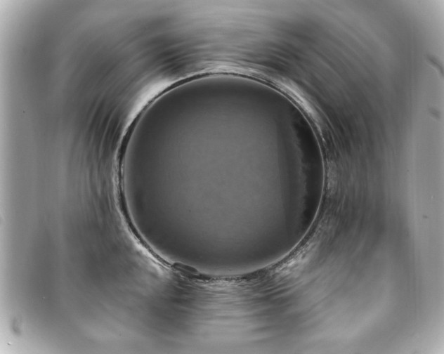 X0000094211048200710261207