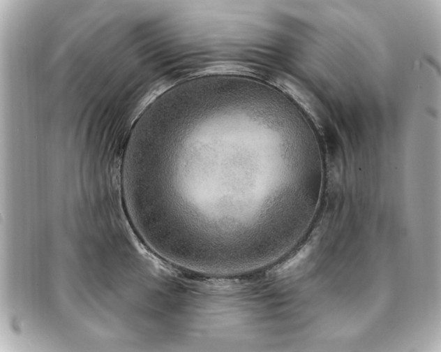 X0000094211049200710261207