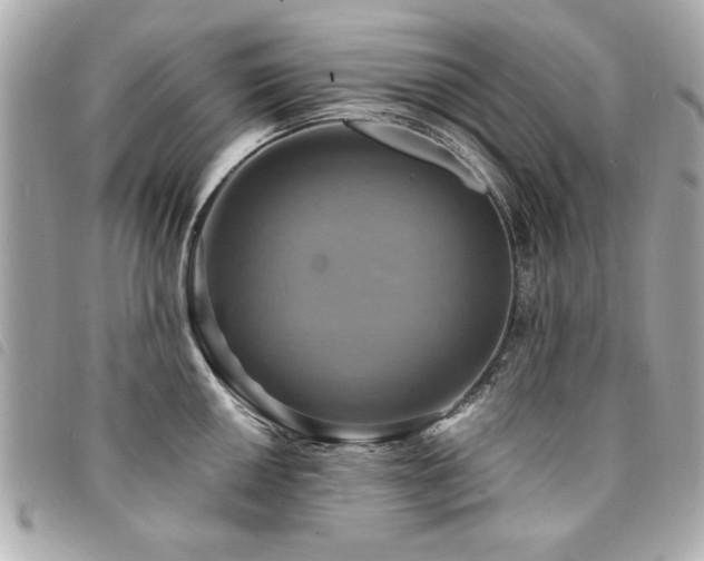 X0000094211050200710261207