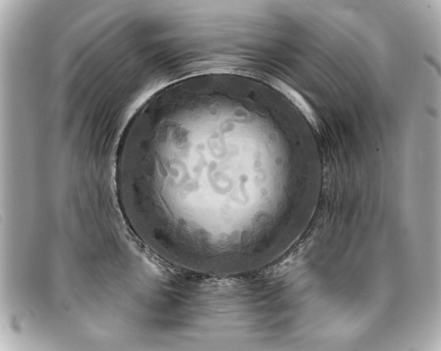 X0000094211051200710261207