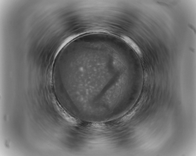 X0000094211052200710261207