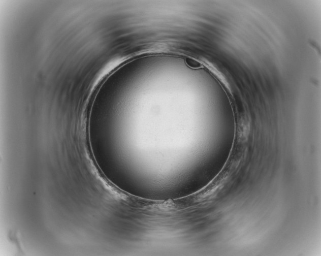 X0000094211053200710261207