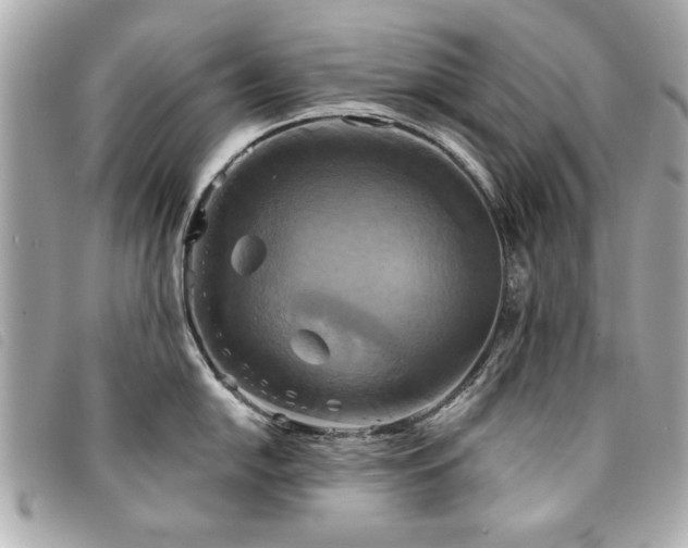 X0000094211054200710261207