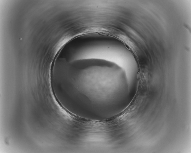 X0000094211055200710261207