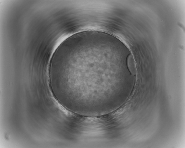 X0000094211056200710261207