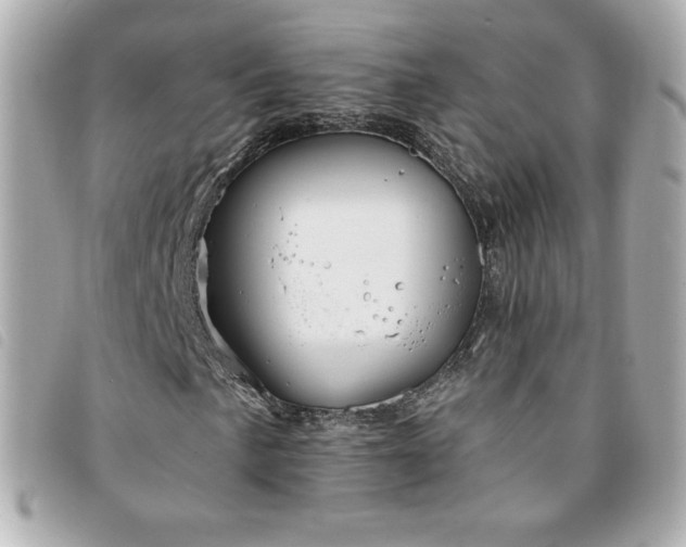 X0000094211057200710261206