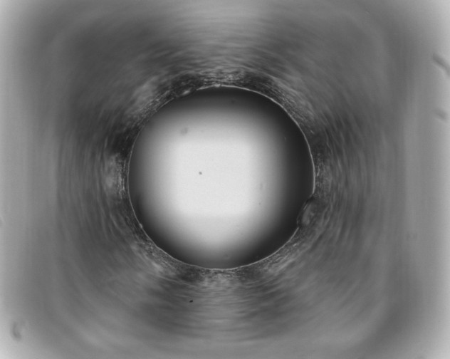 X0000094211058200710261206