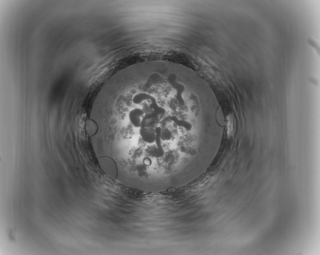 X0000094211059200710261206