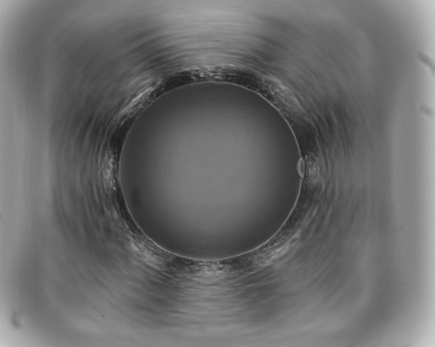 X0000094211060200710261206
