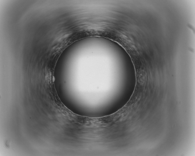 X0000094211061200710261206