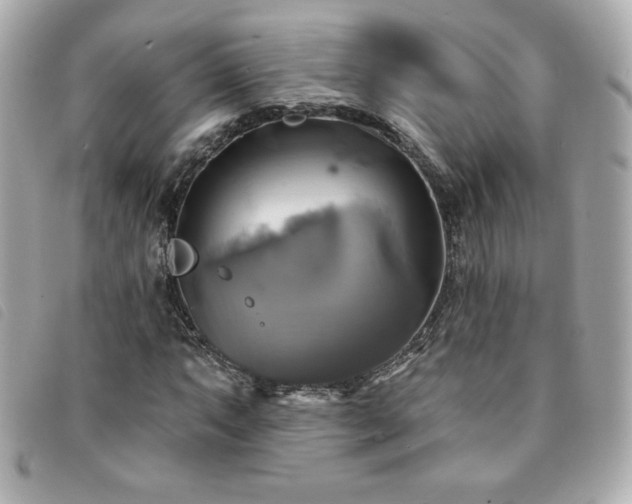 X0000094211063200710261206