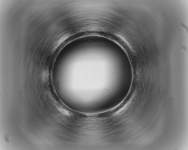 X0000094211065200710261206