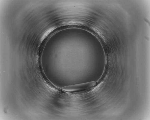 X0000094211066200710261206