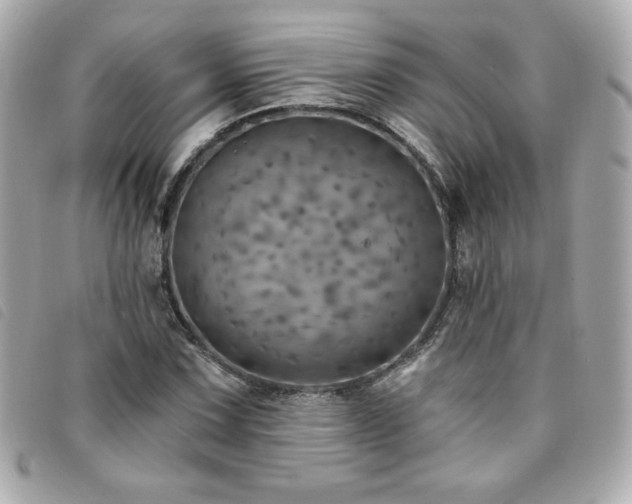 X0000094211067200710261206