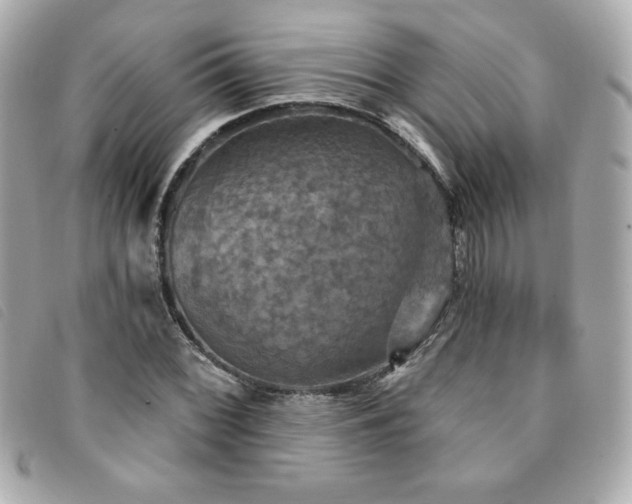 X0000094211068200710261206