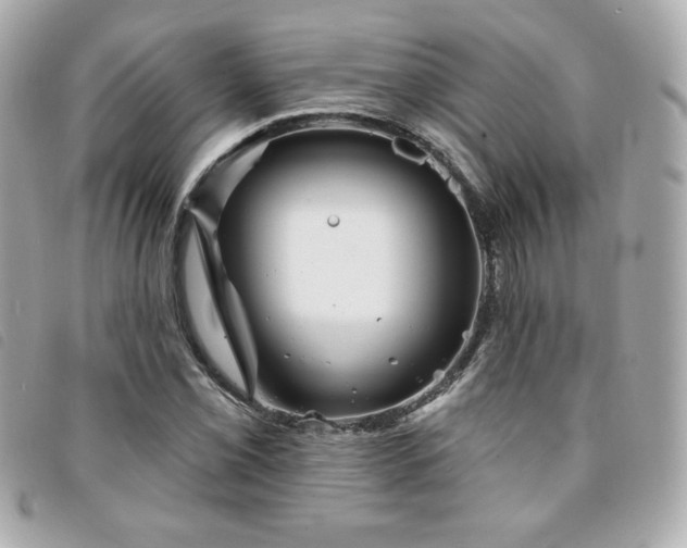 X0000094211069200710261206