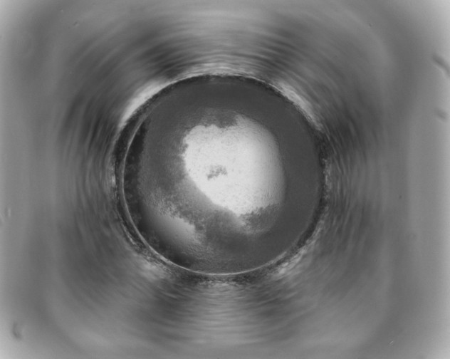 X0000094211070200710261206